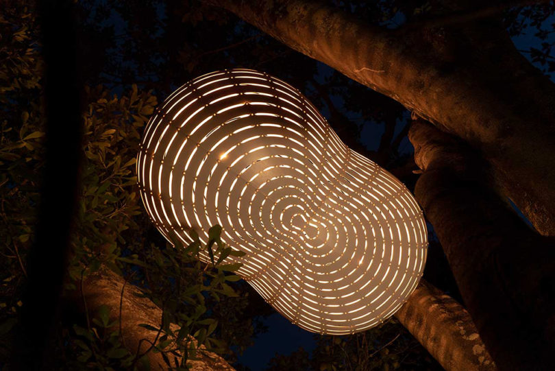 Cloud + Ebb，lamps and lanterns，woodiness，