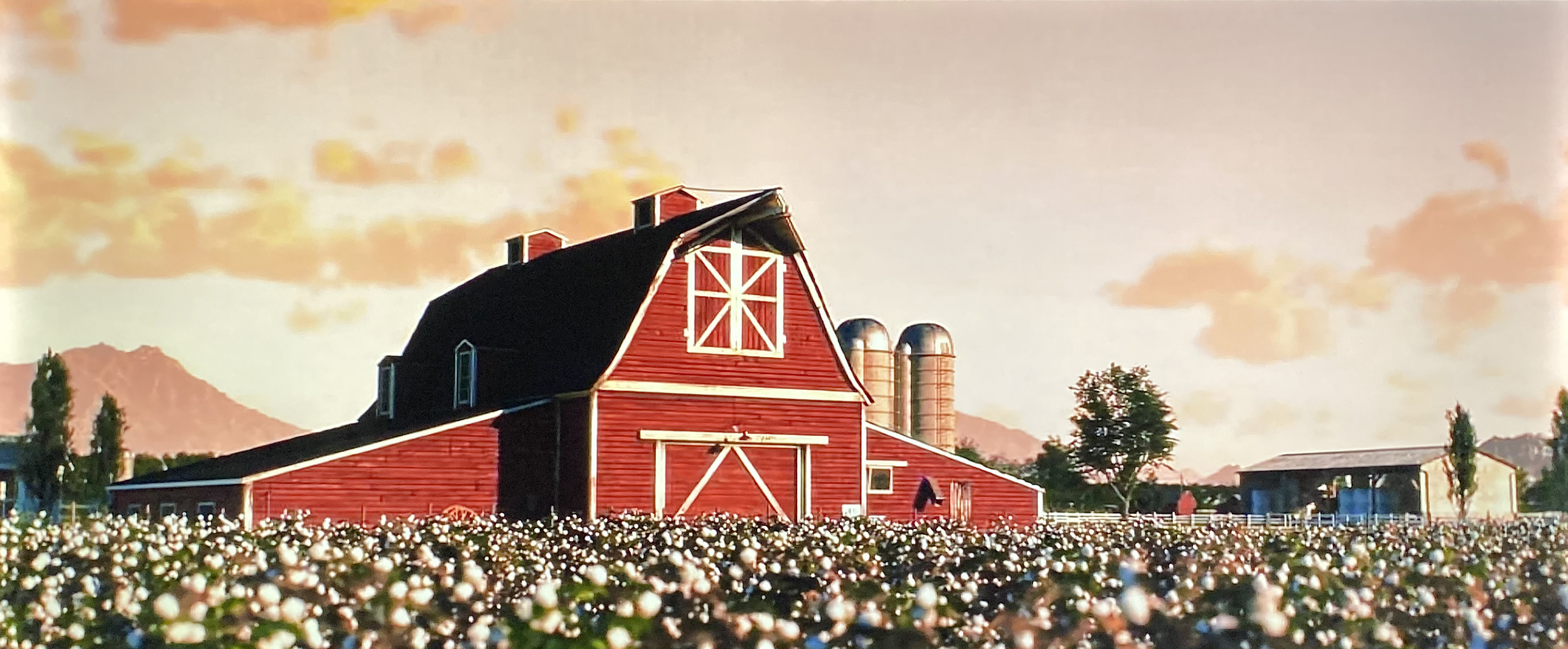 evaluating ，letv ，television，