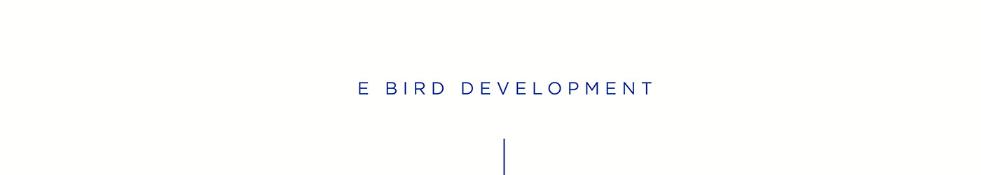 bird，Electronics，animation，energy，simulation，