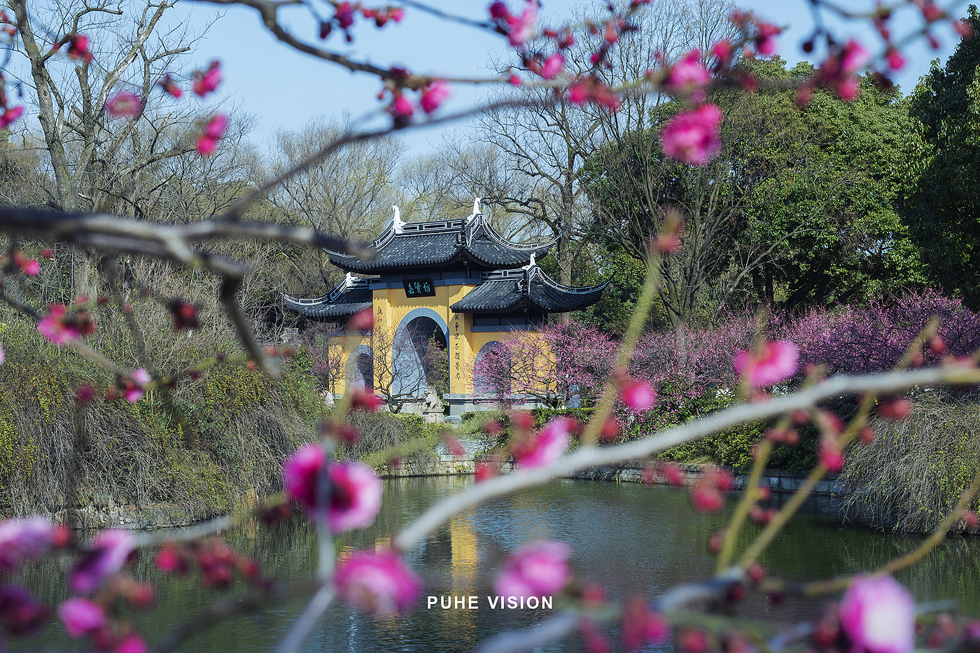 December plum blossom，