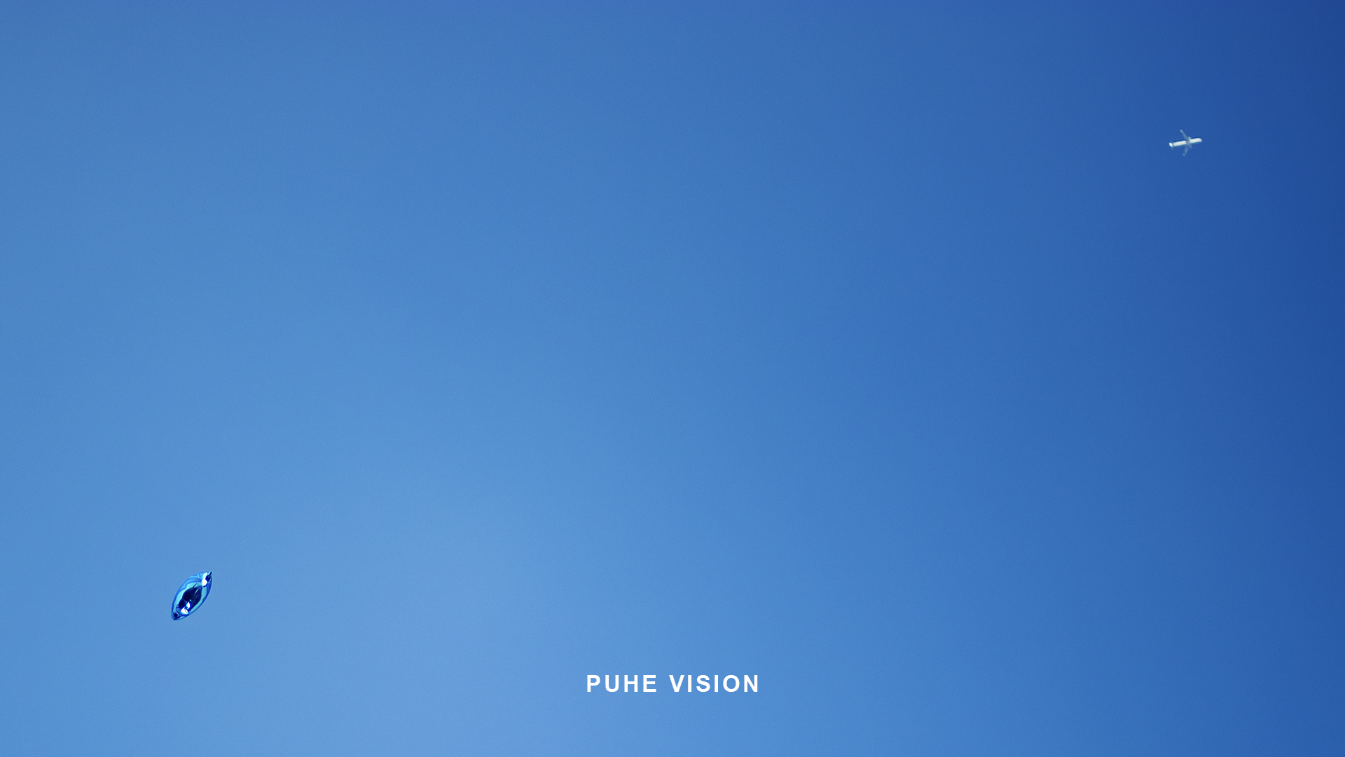 December plum blossom，