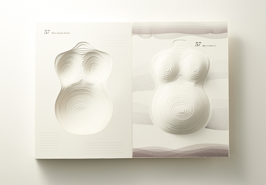 book，Pregnant，record，Simplicity，