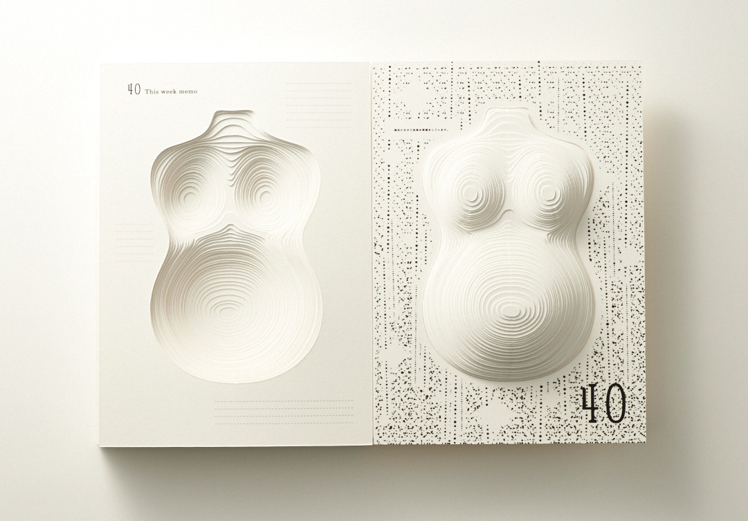 book，Pregnant，record，Simplicity，