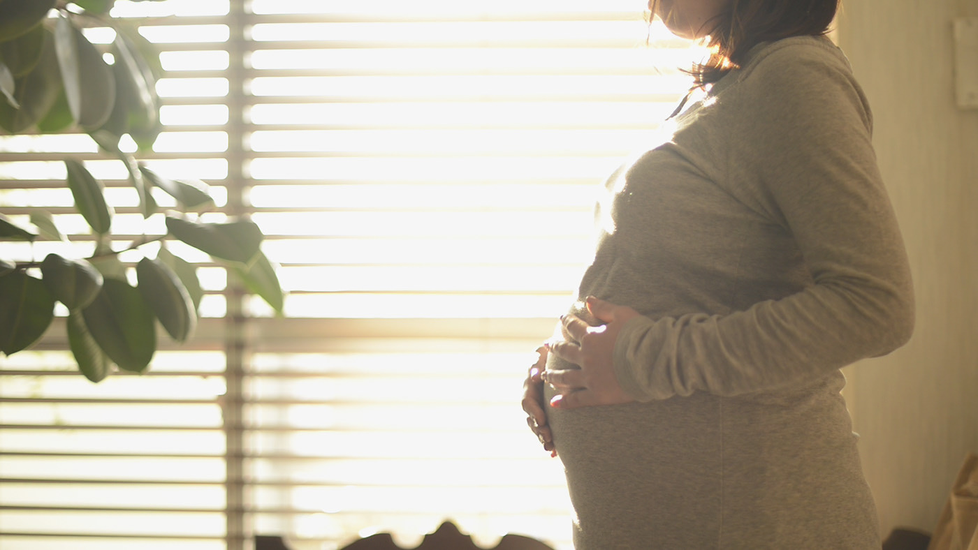 book，Pregnant，record，Simplicity，