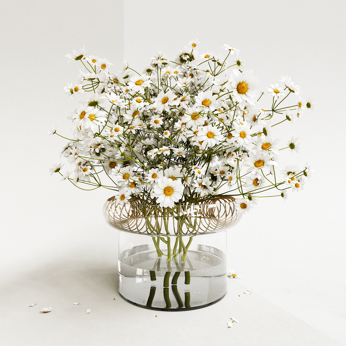 decorate，vase，JARO，Glass，brass，