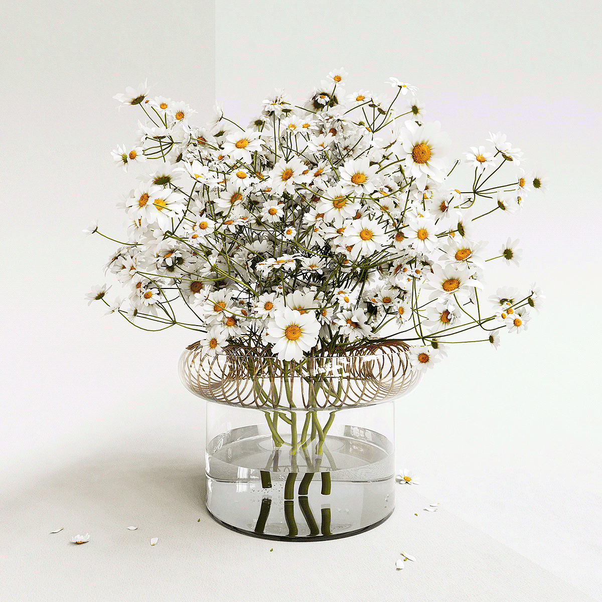 decorate，vase，JARO，Glass，brass，