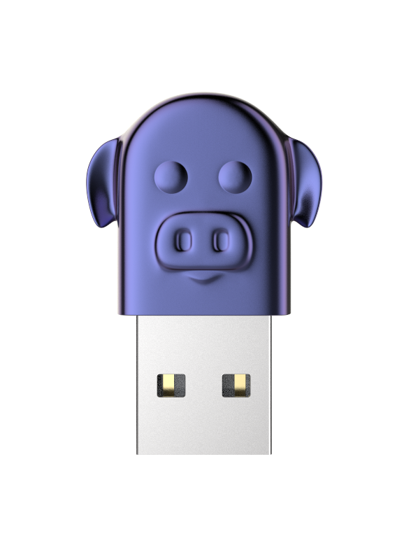 the Chinese zodiac，USB drive，receiver，