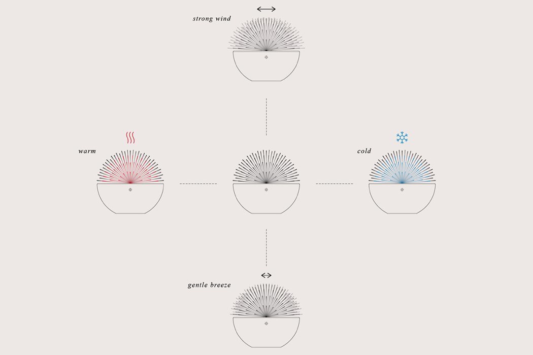 蒲公英天气预测器