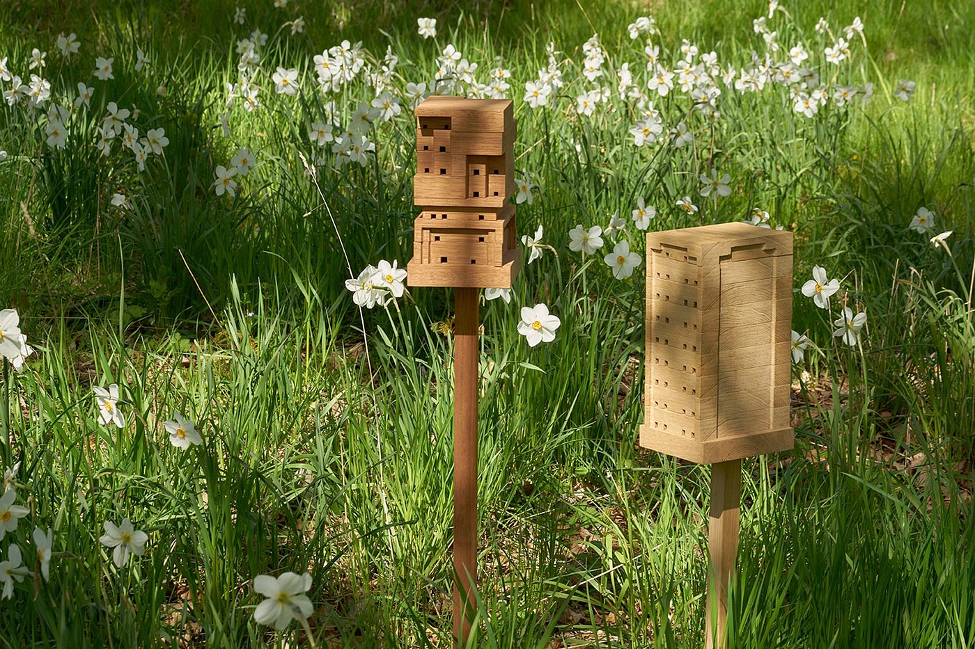 originality，Design，internet，building design，