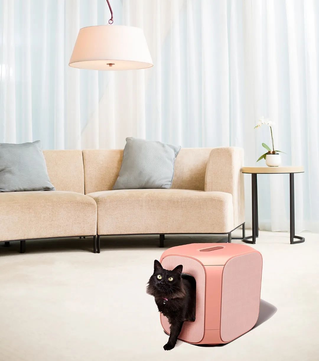 Future workshop，wenext，Litter box，