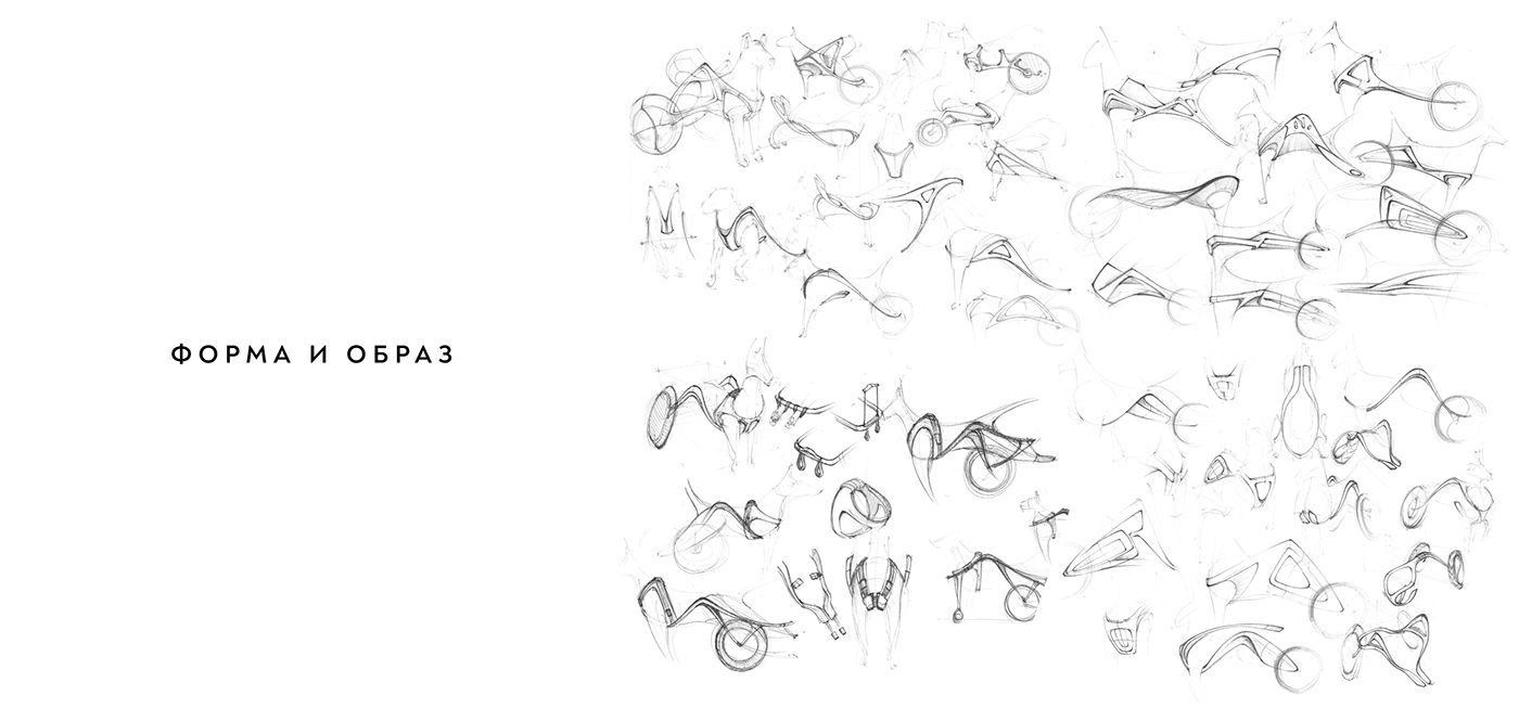 Liza Anufrieva，Dog Wheelchair，Pet wheelchair，Auxiliary device，