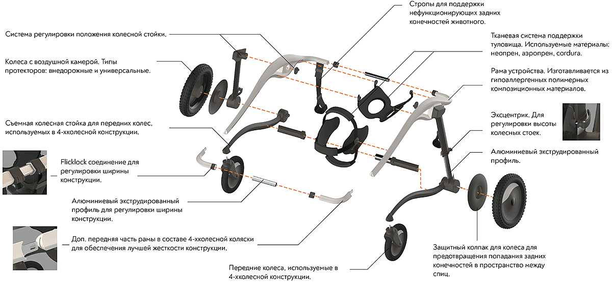 Liza Anufrieva，Dog Wheelchair，宠物轮椅，辅助器，