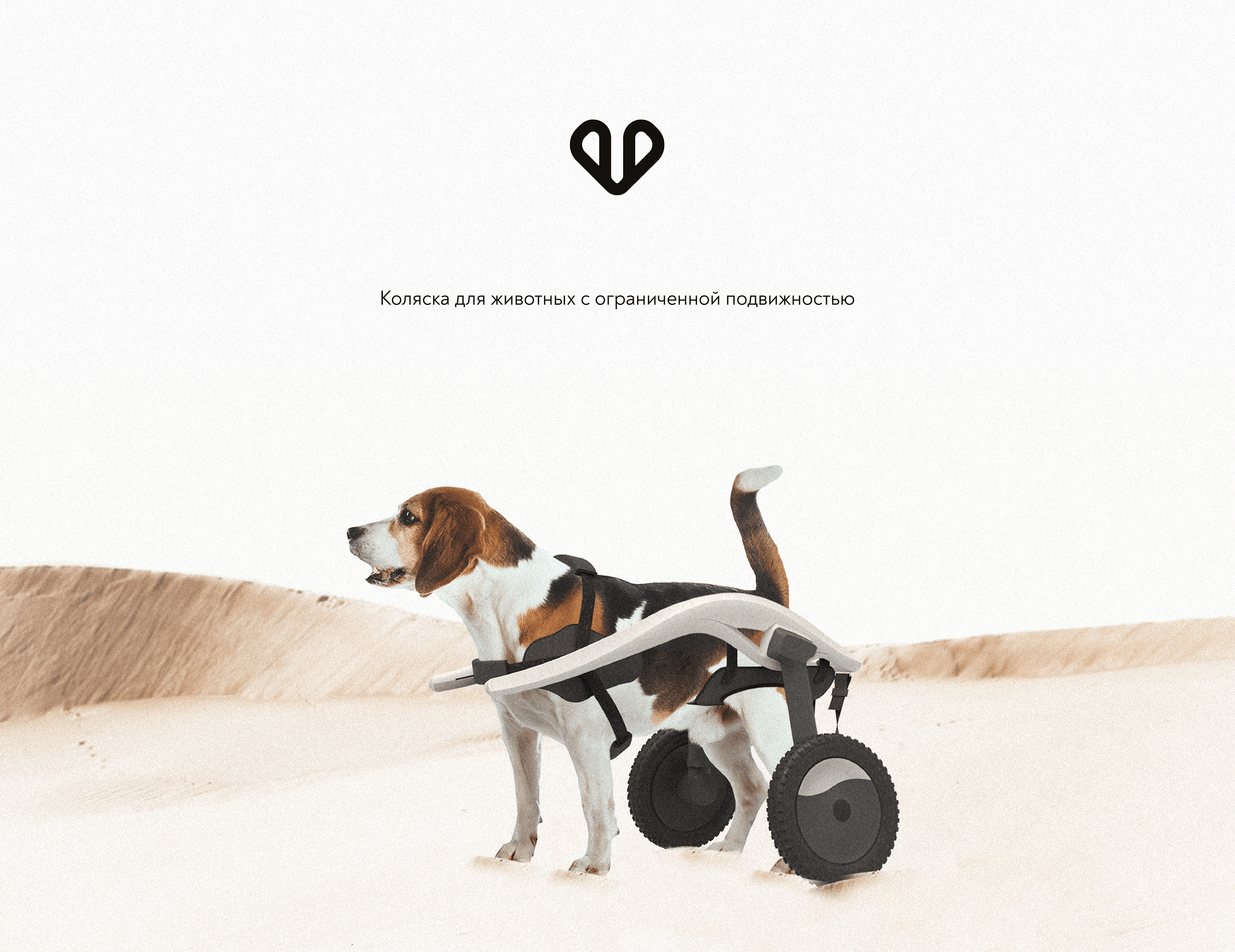 Liza Anufrieva，Dog Wheelchair，Pet wheelchair，Auxiliary device，