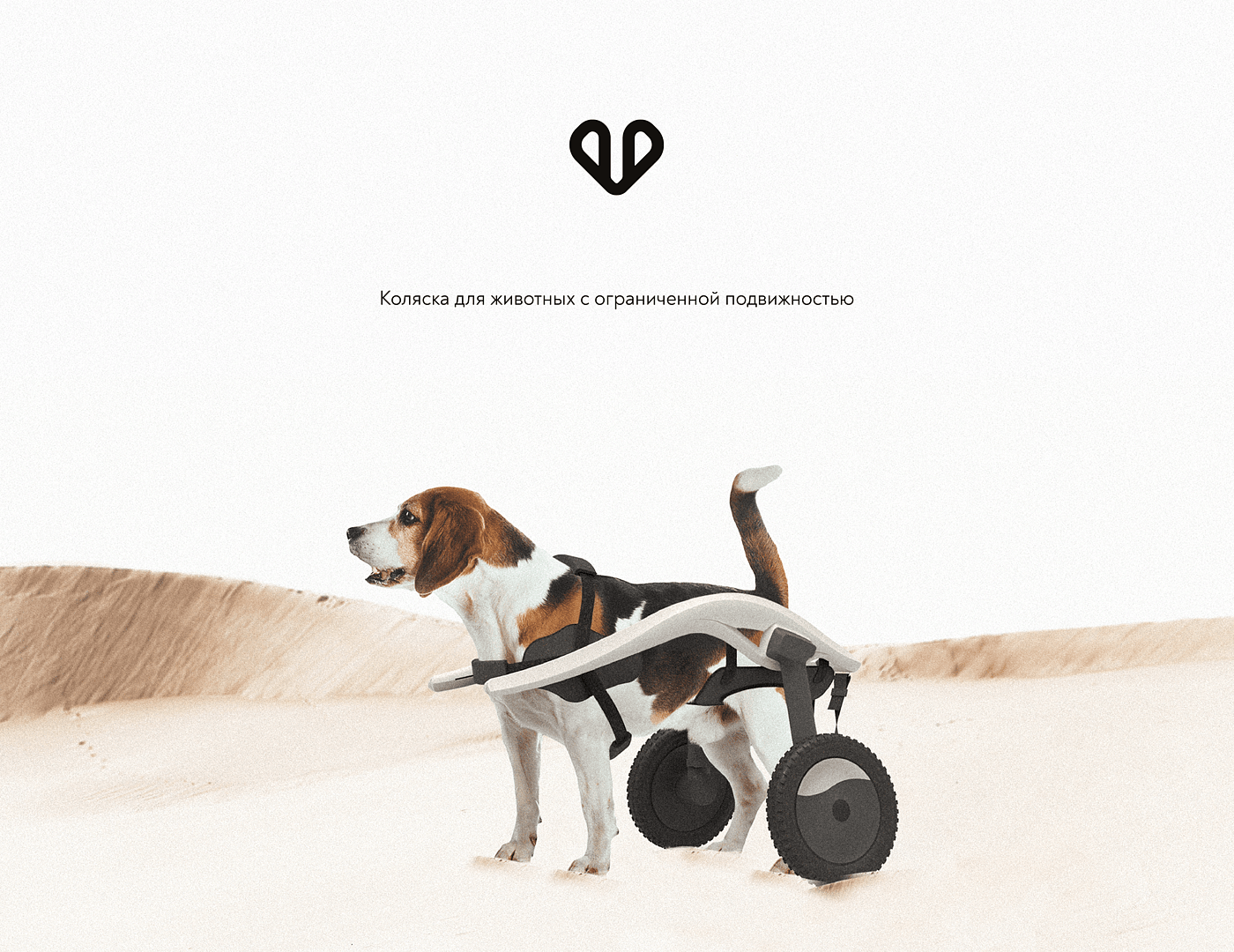 Liza Anufrieva，Dog Wheelchair，Pet wheelchair，Auxiliary device，