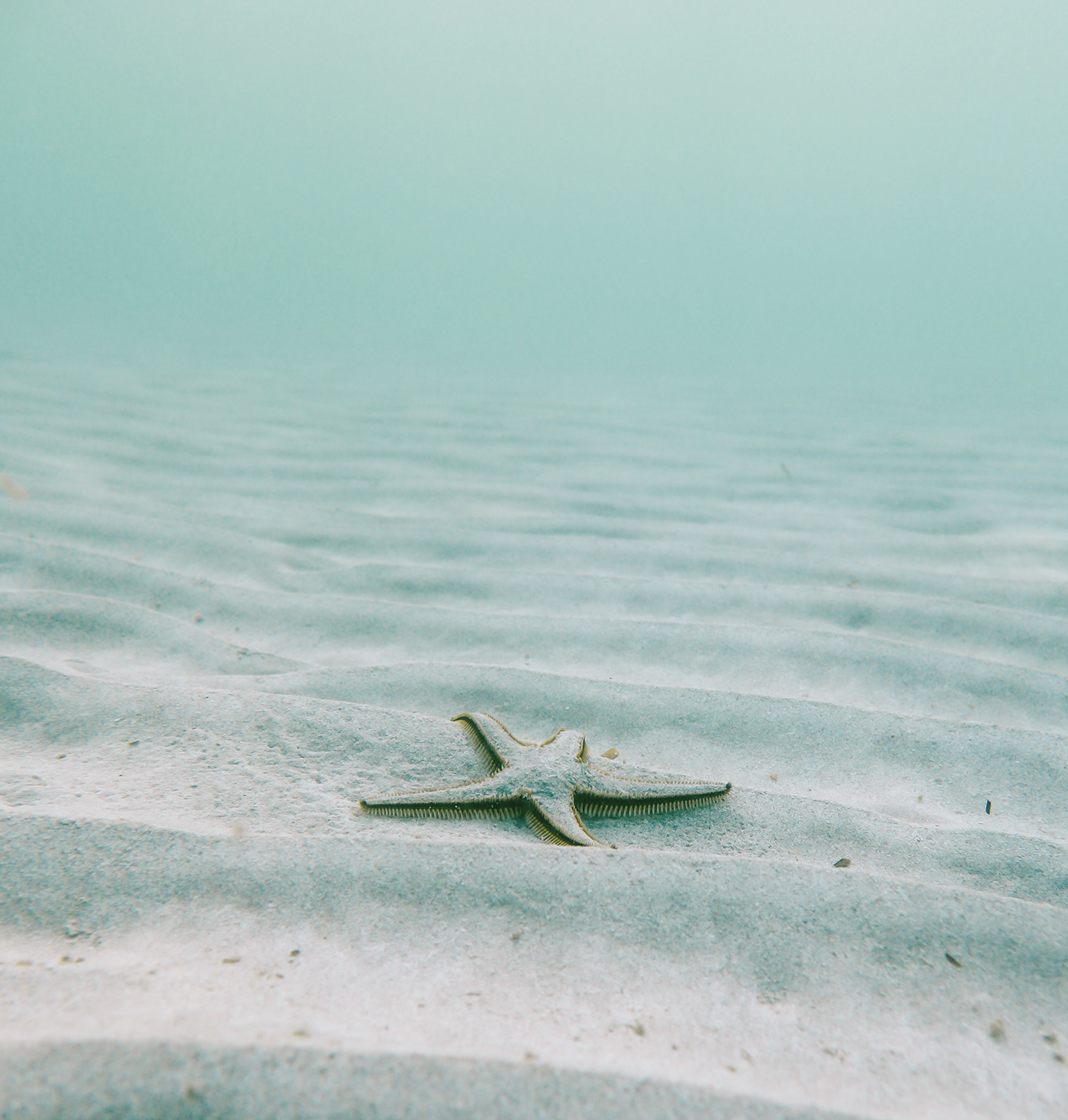 toothpaste，natural，environment protection，reproducible ，