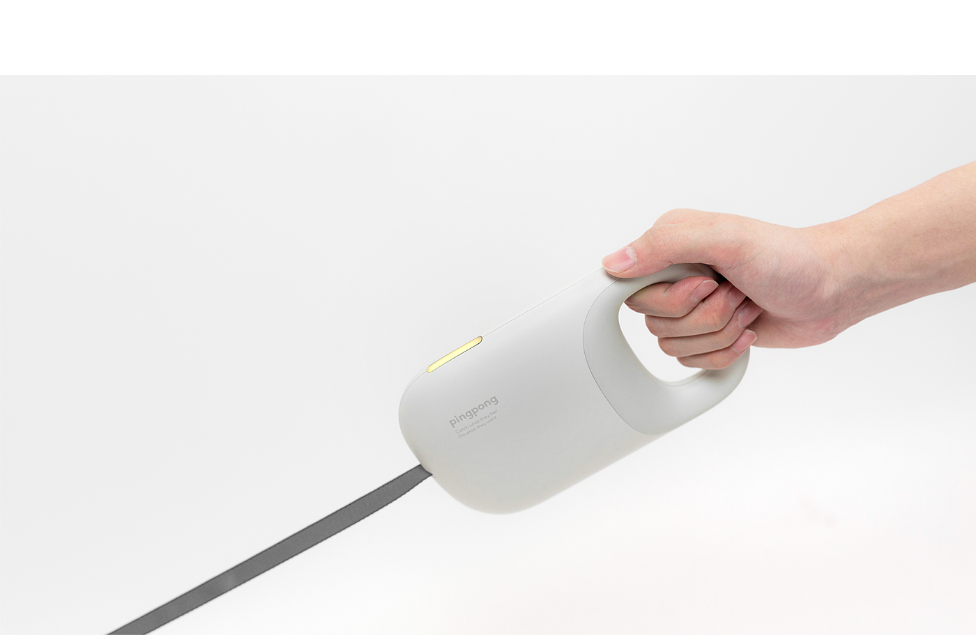 intelligence，Pet equipment，white，location，Simplicity，