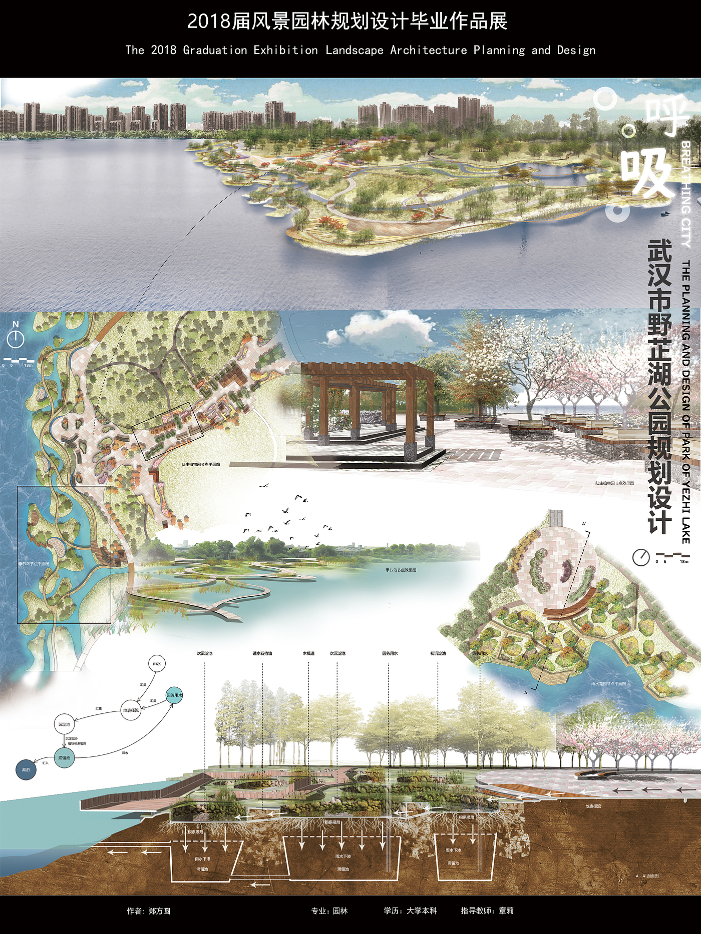 Landscape design，city planning，