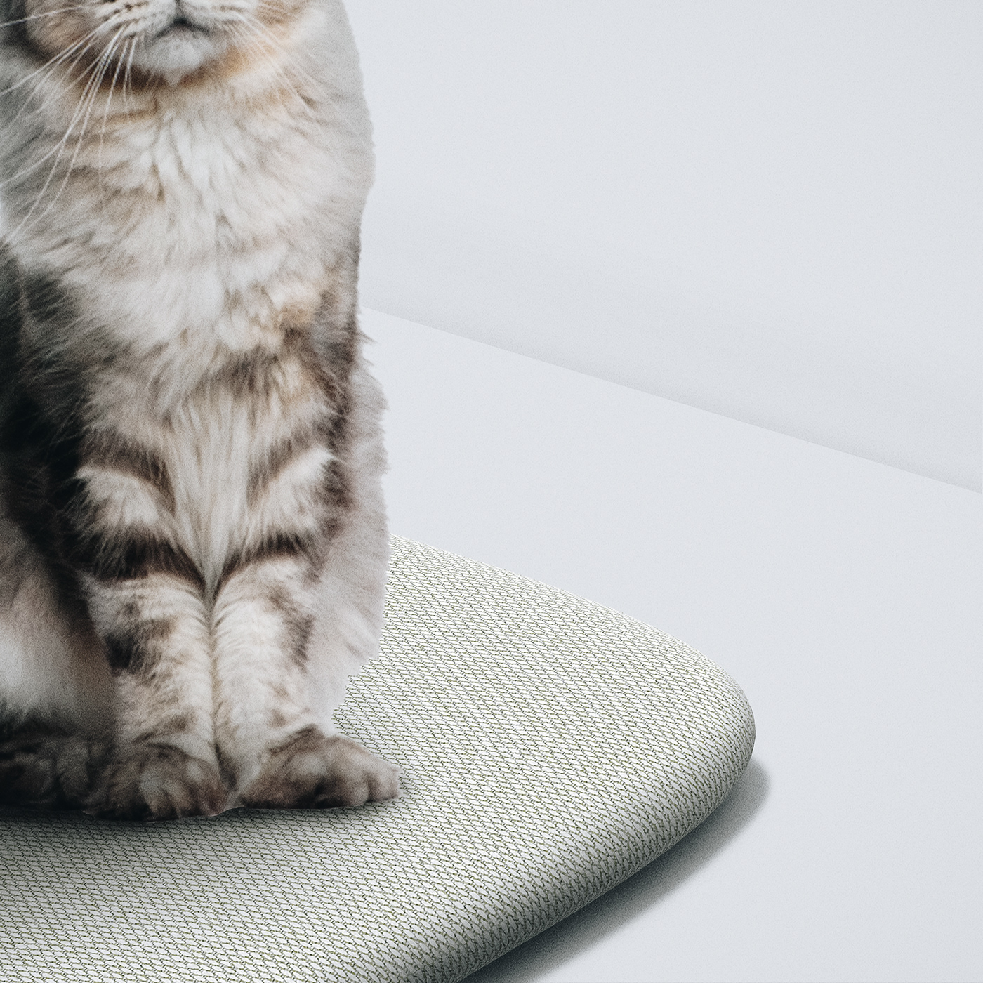 Rub Rub Rub，Hyojeong Lee，Cat tower，white，