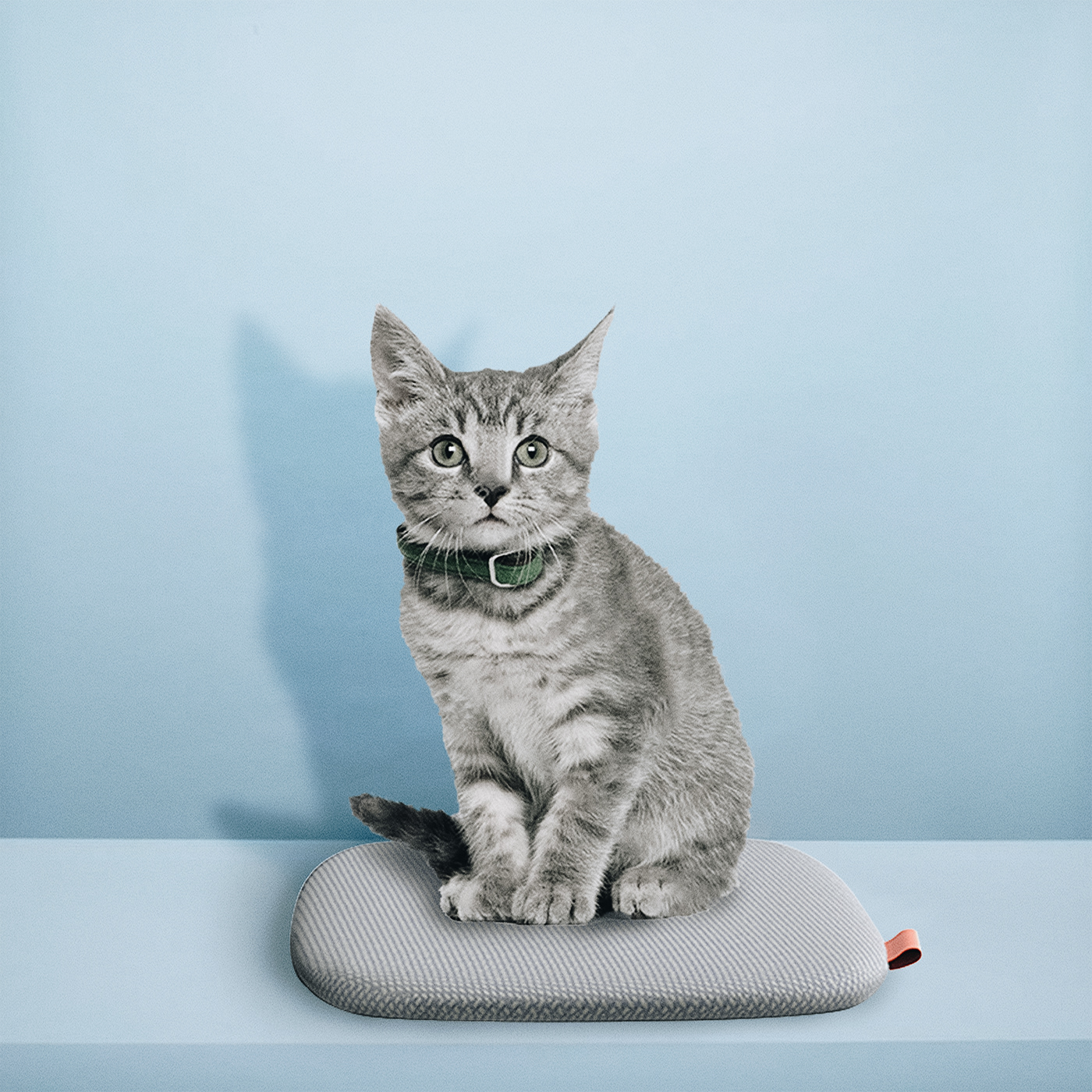 Rub Rub Rub，Hyojeong Lee，Cat tower，white，