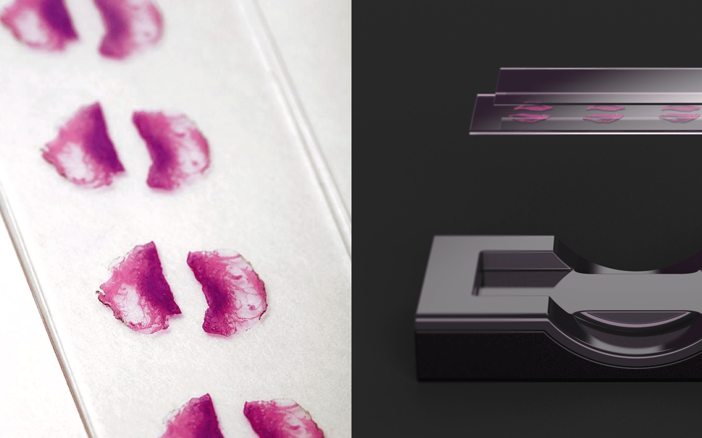 medical apparatus and instruments，