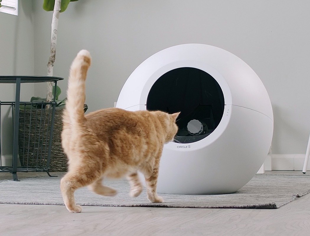Circle Zero，智能垃圾箱，猫，传感追踪，