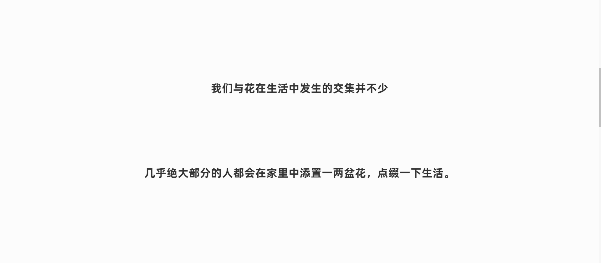 Flowerpot，container，Floral apparatus，