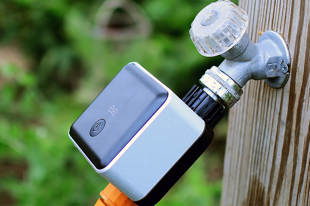 intelligence，Water irrigation，fresh，Botany，