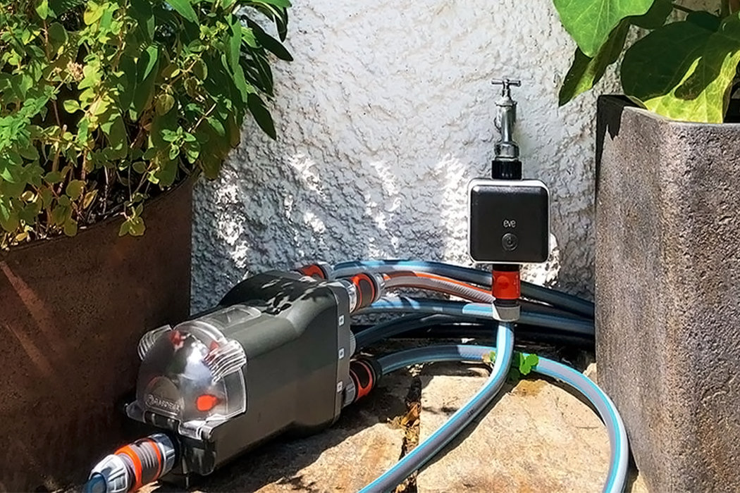 intelligence，Water irrigation，fresh，Botany，