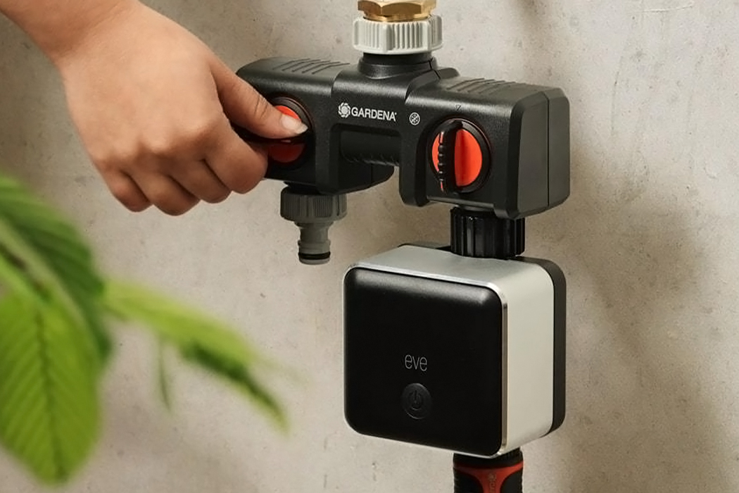 intelligence，Water irrigation，fresh，Botany，