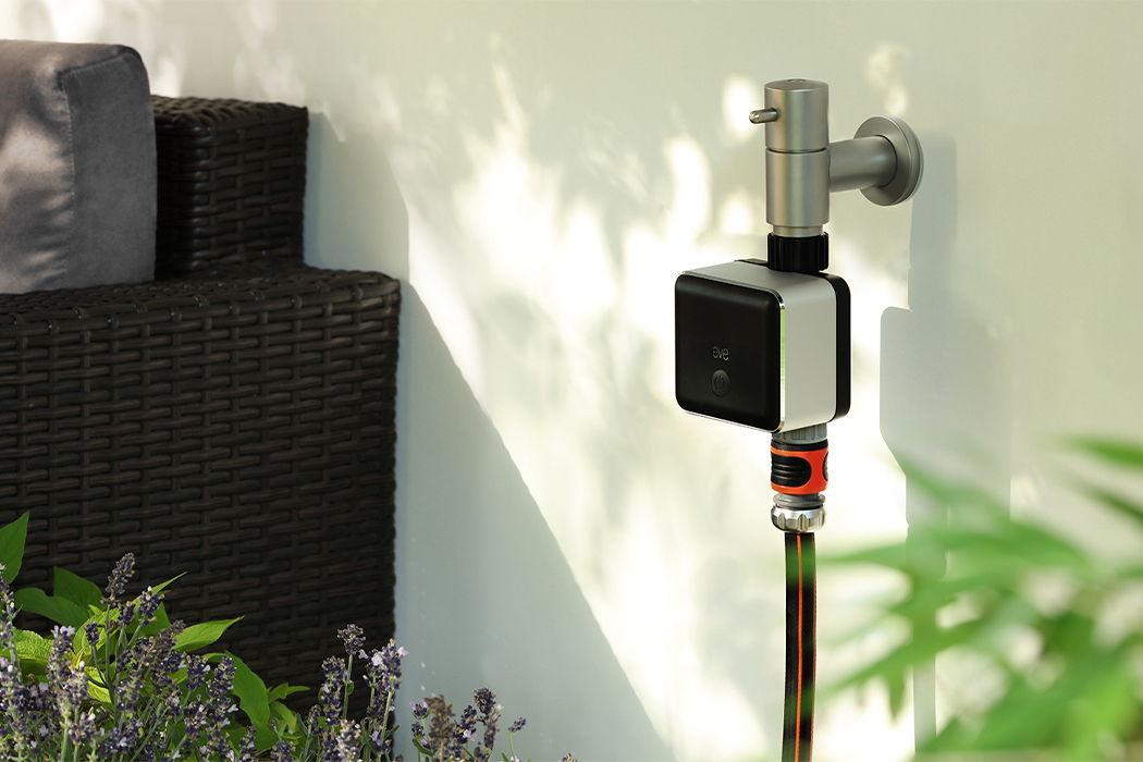 intelligence，Water irrigation，fresh，Botany，