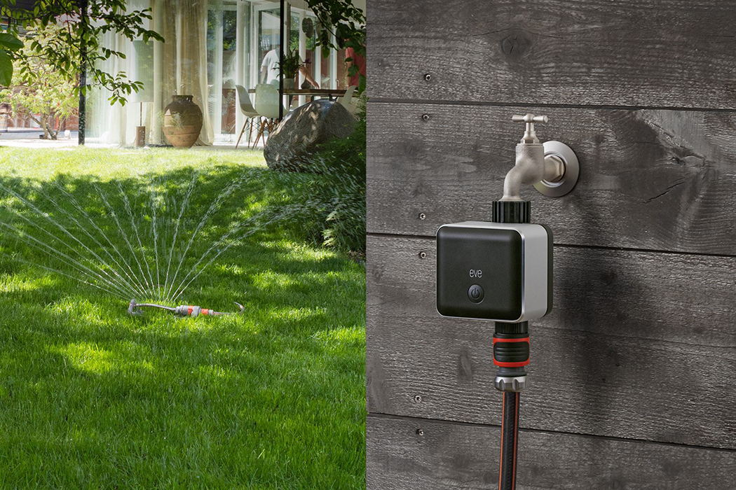 intelligence，Water irrigation，fresh，Botany，