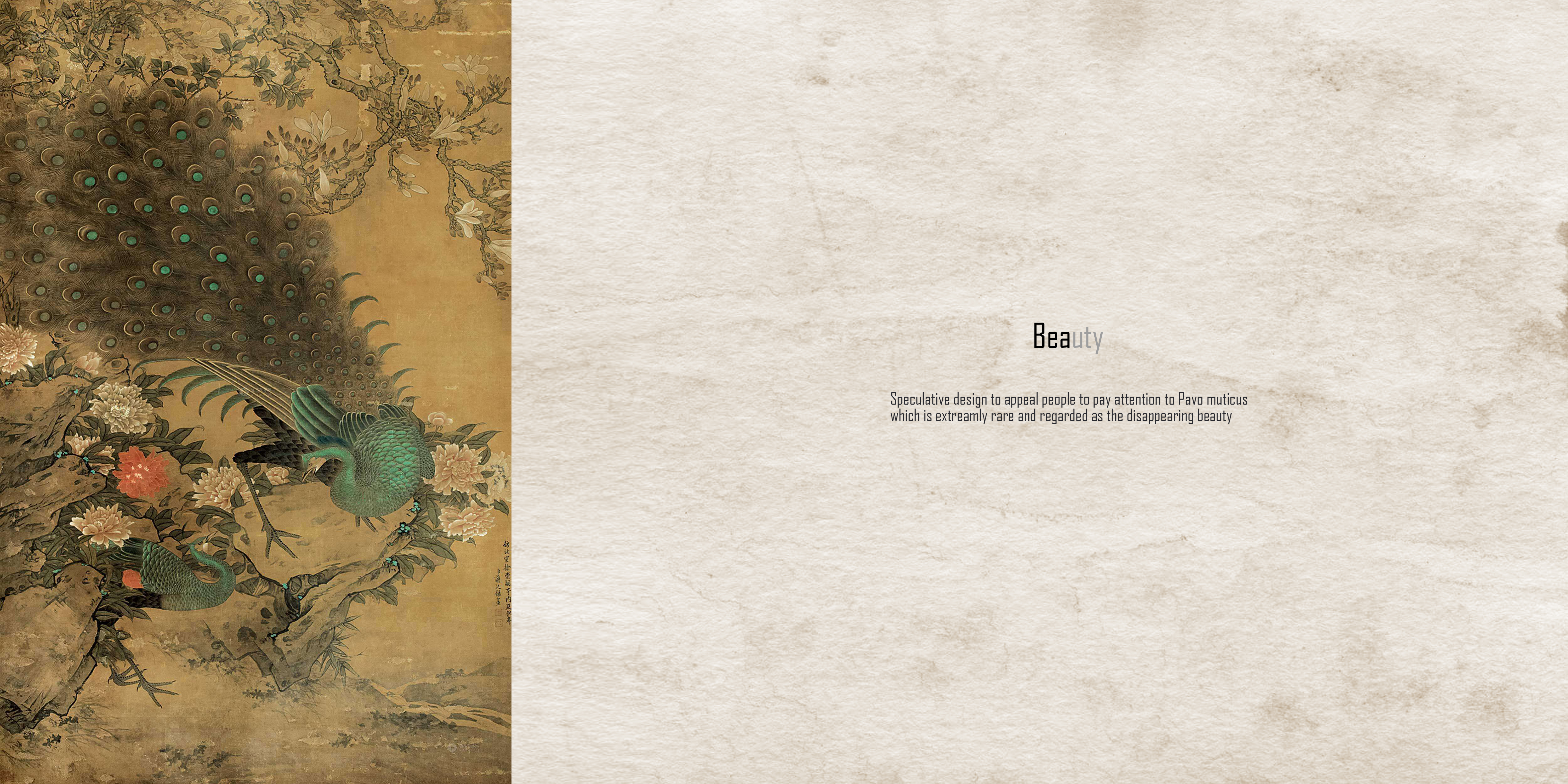 Innovative device，