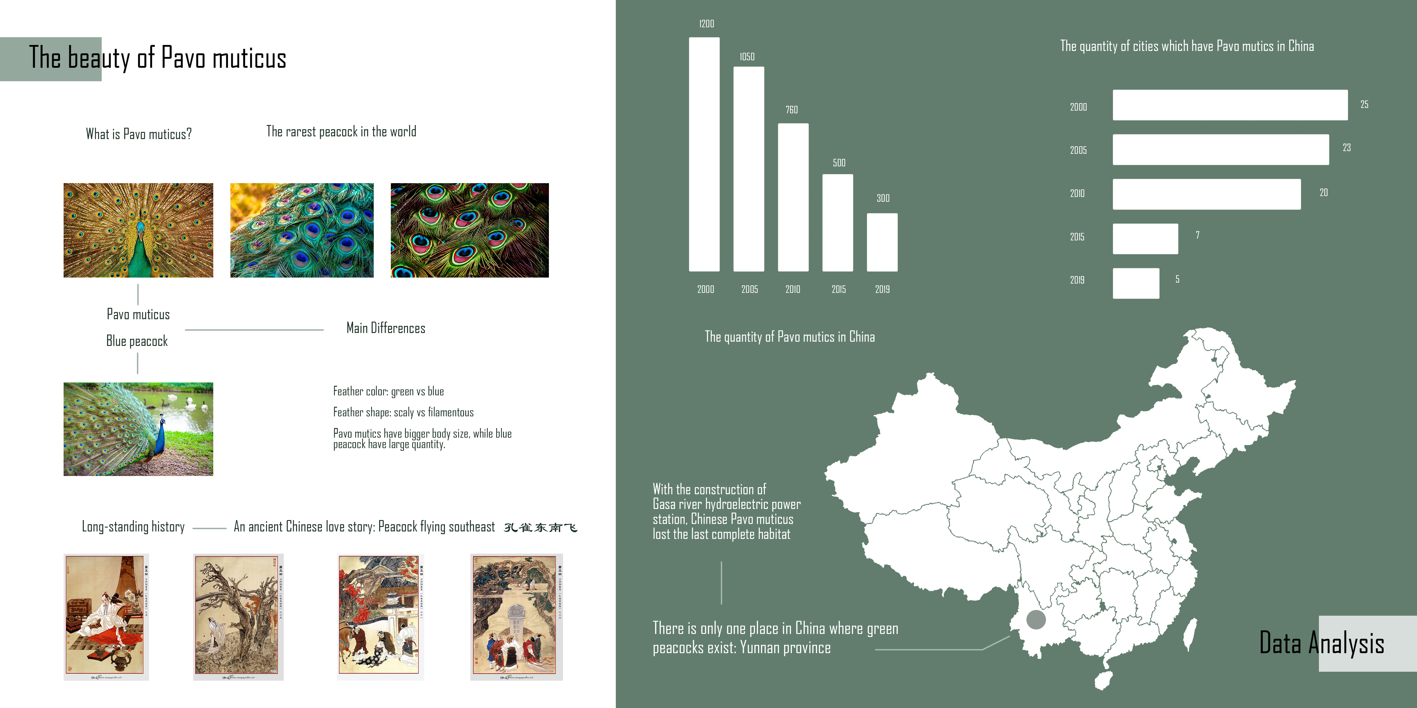 Innovative device，