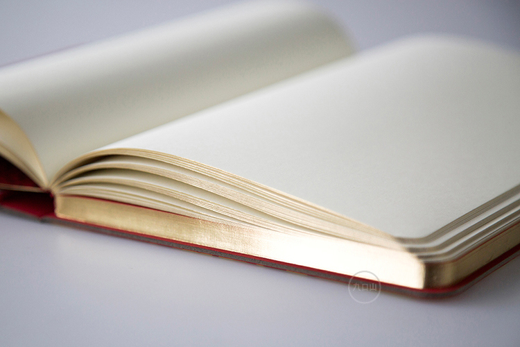 name of a fictitious monkey with supernatural powers，modelling，notebook，originality，Design，