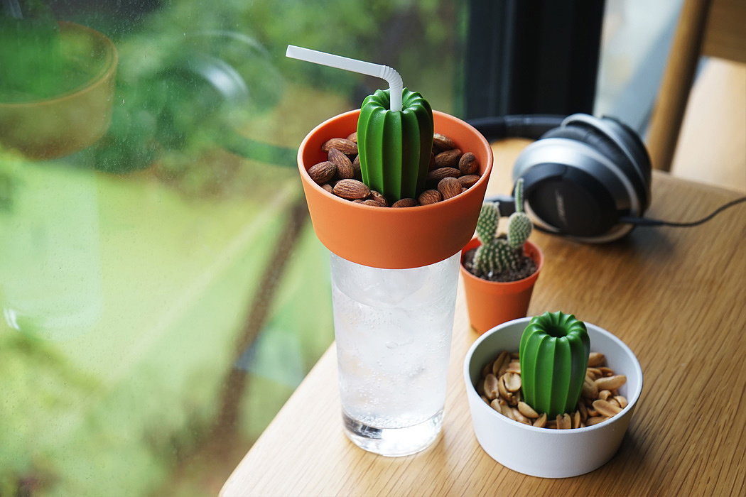 Agitator，Toilet paper holder，cactus，