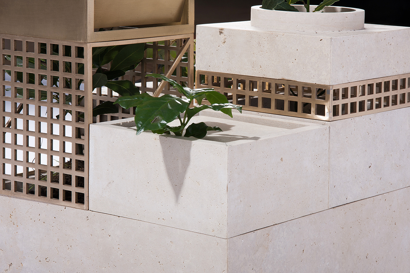 product design，industrial design，Home Furnishing，Botany，comfortable，