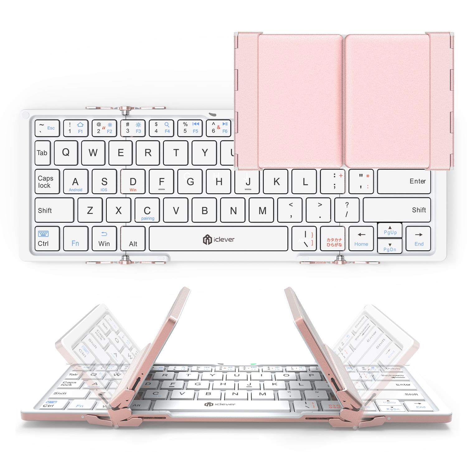 Amazon，Modeling and rendering，Japan，