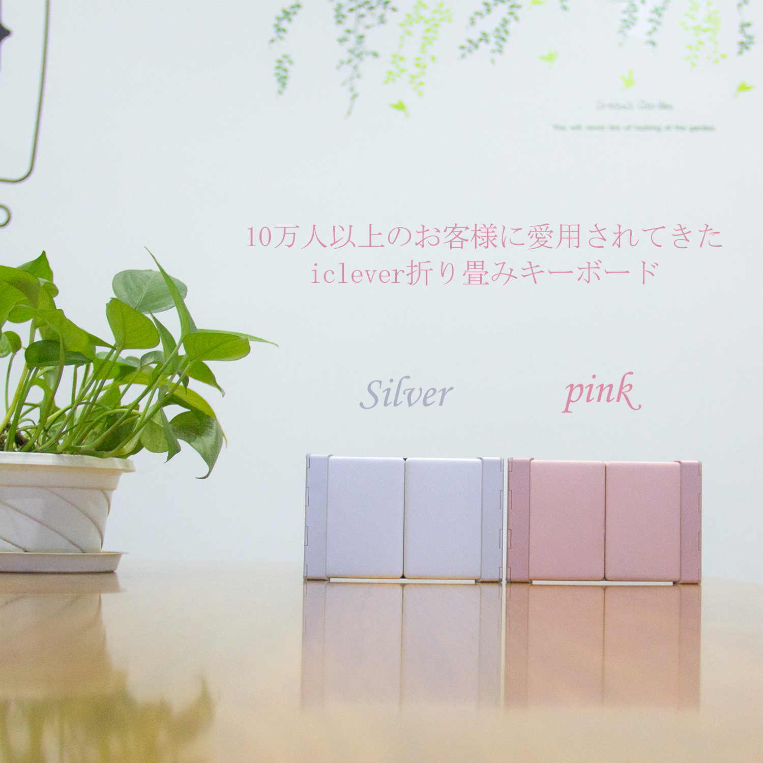 Amazon，Modeling and rendering，Japan，