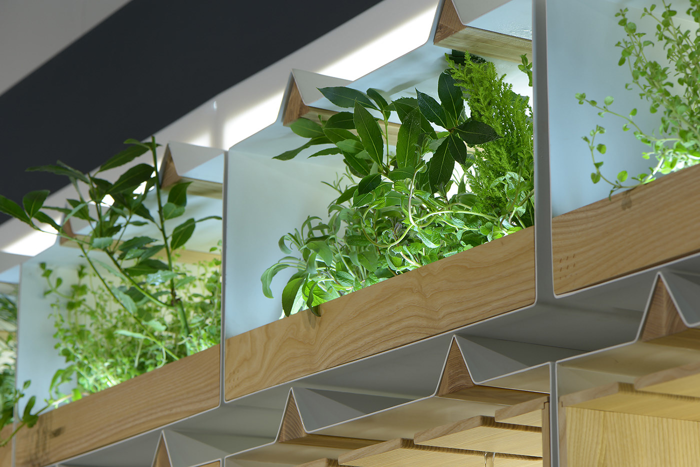 kitchen，indoor，Ukraine，unique，German red dot，