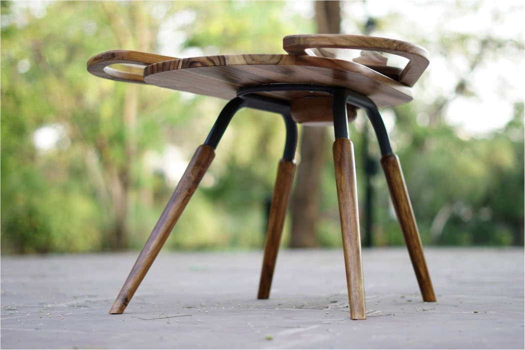 Elytra table，wing，beetle，