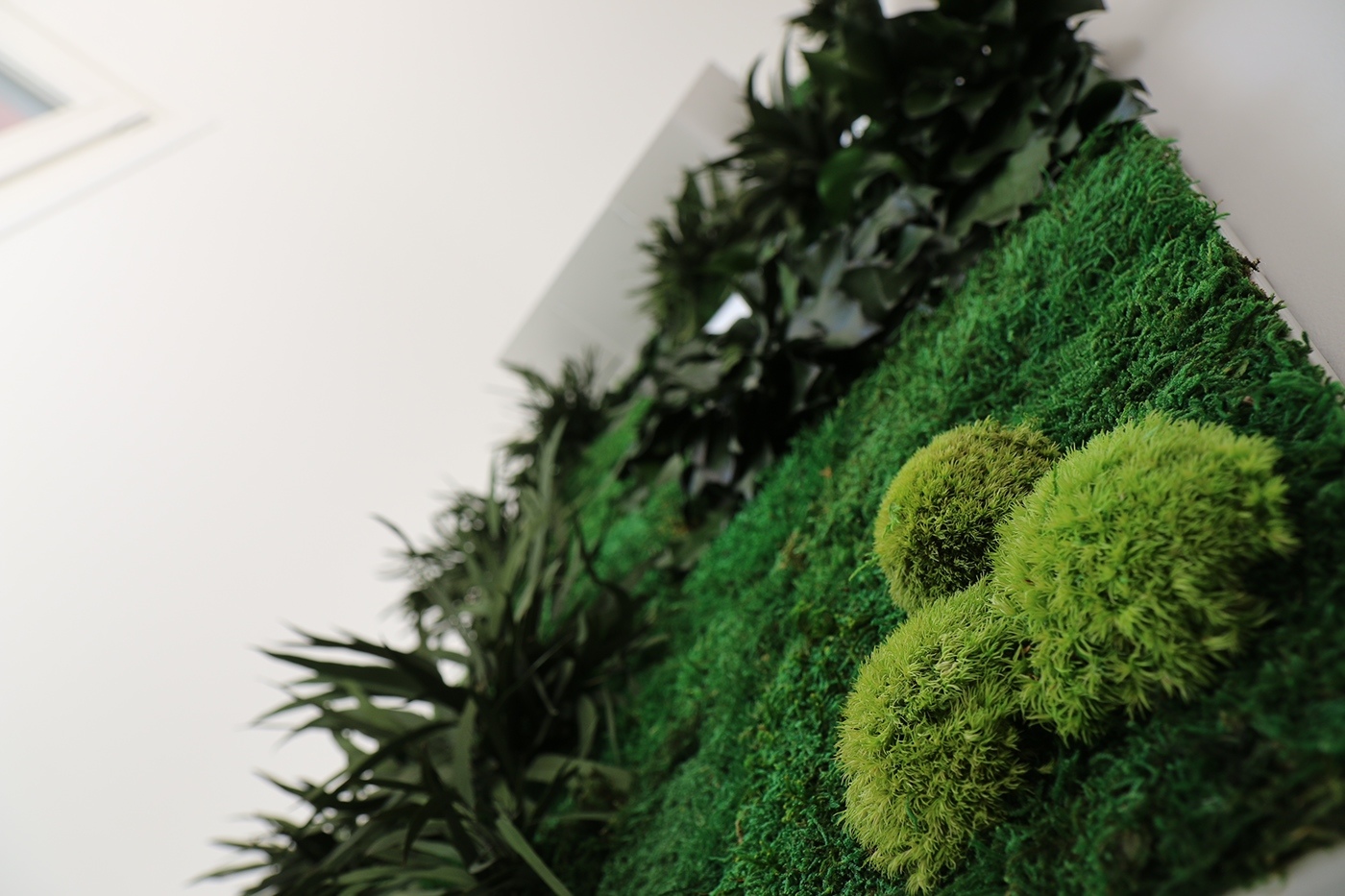 garden，Design，originality，flower，green，courtyard，beautify，