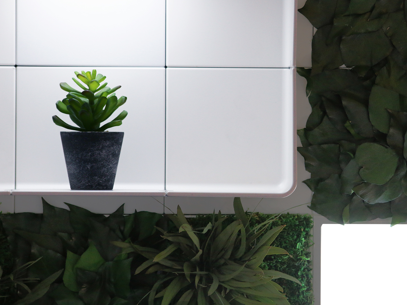 garden，Design，originality，flower，green，courtyard，beautify，