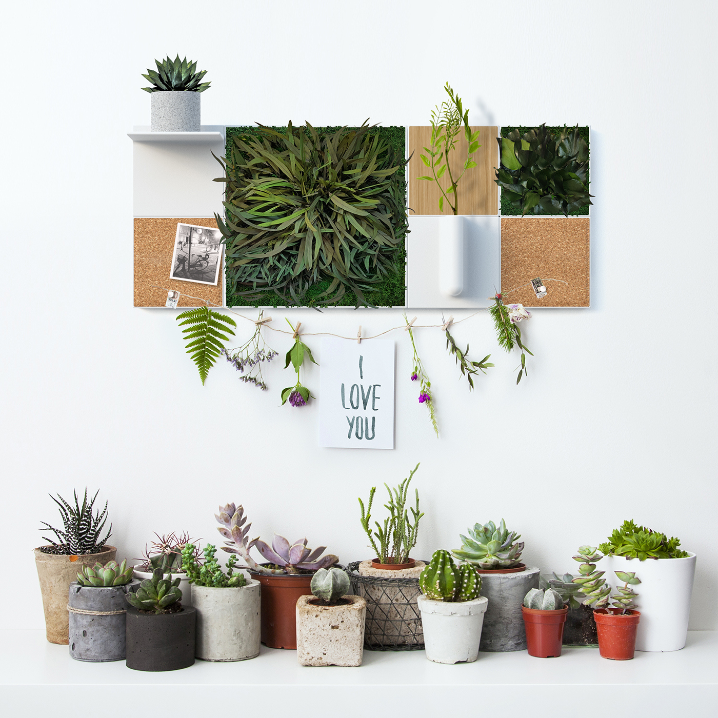 garden，Design，originality，flower，green，courtyard，beautify，