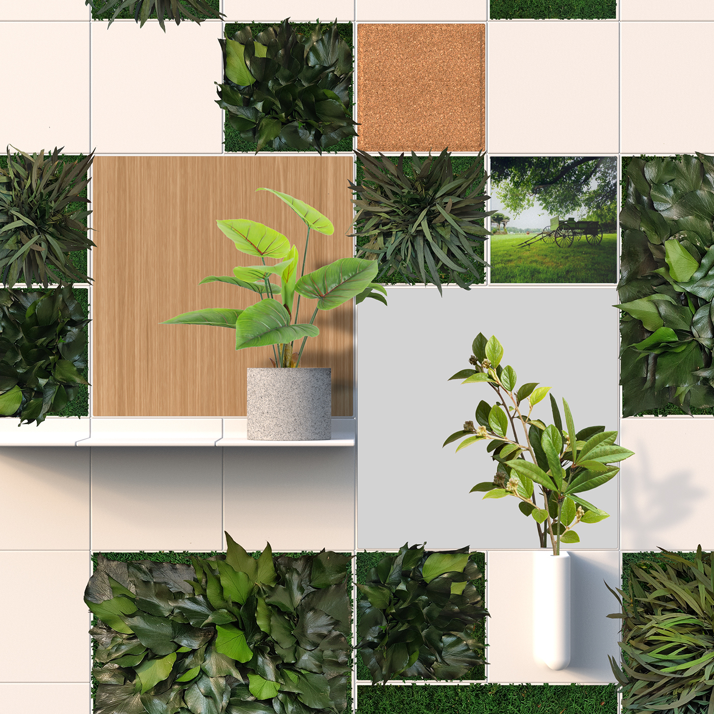 garden，Design，originality，flower，green，courtyard，beautify，