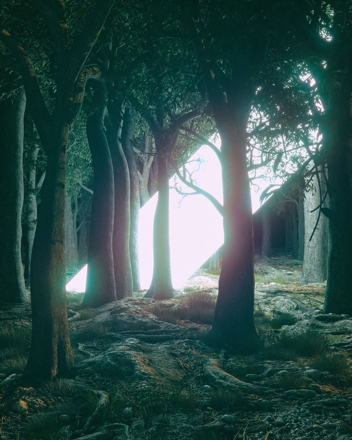 picture，appreciate，Meitu，originality，Design，