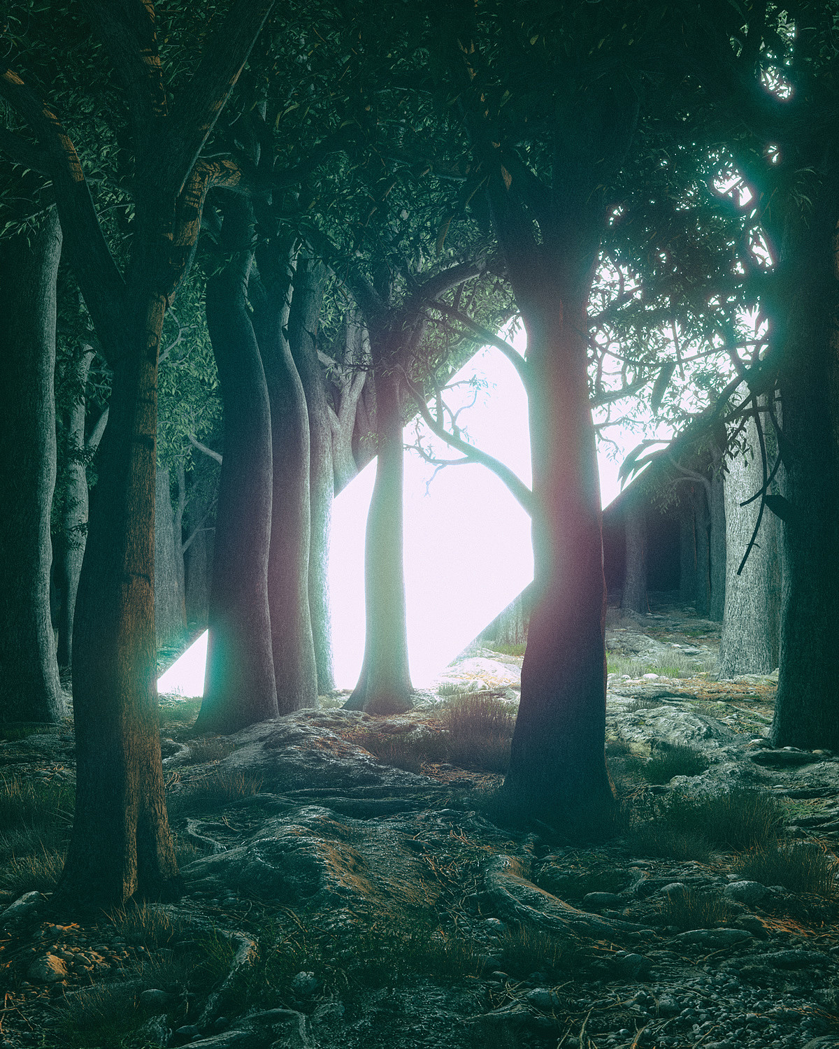 picture，appreciate，Meitu，originality，Design，