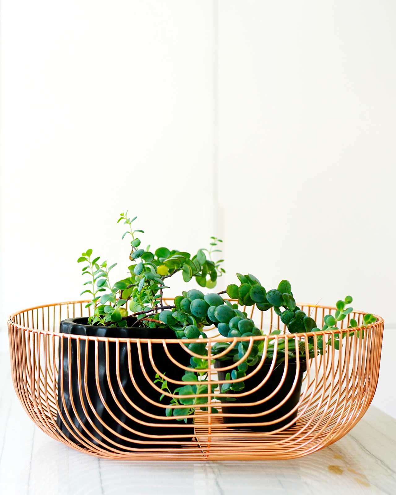 chair，Table，Metal，furniture，