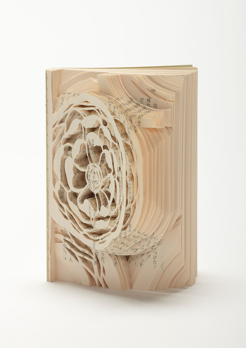 book，Art，three-dimensional，imagination，