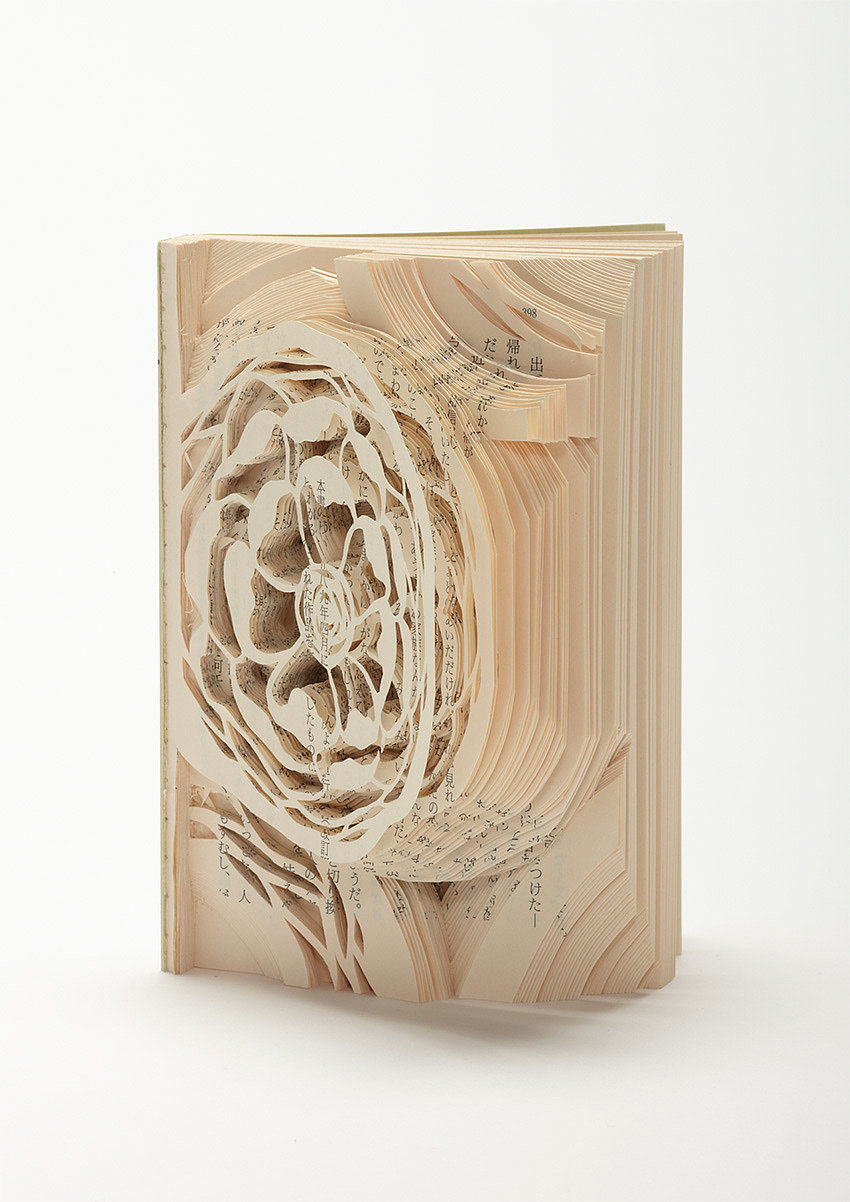 book，Art，three-dimensional，imagination，