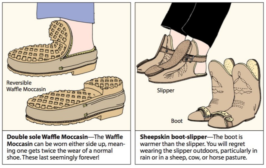 funny，invention，Steven，Johnson，originality，Design，cartoon，